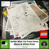 LEGO Exclusive Limited Edition VIP Rewards Sets Art Prints Posters Coins Gifts