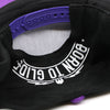 Spyro Born To Glide Snapback Hat Cap 1998 Promo Collectors Rare Exquisite Gaming