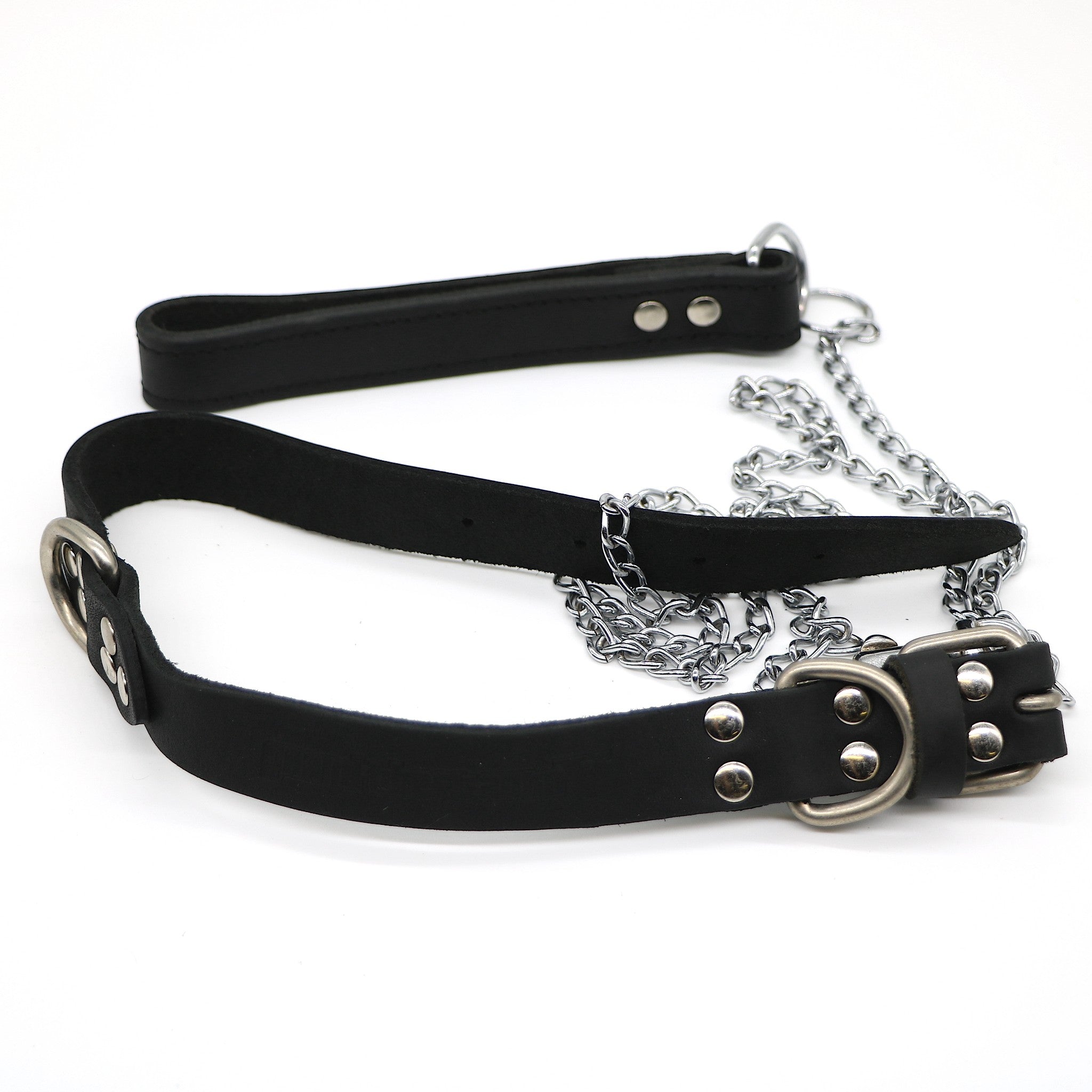 Grand Theft Auto GTA III V 5 | Rockstar Dog Lead Leash & Collar | Medium