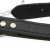 Grand Theft Auto GTA III V 5 | Rockstar Dog Lead Leash & Collar | Medium