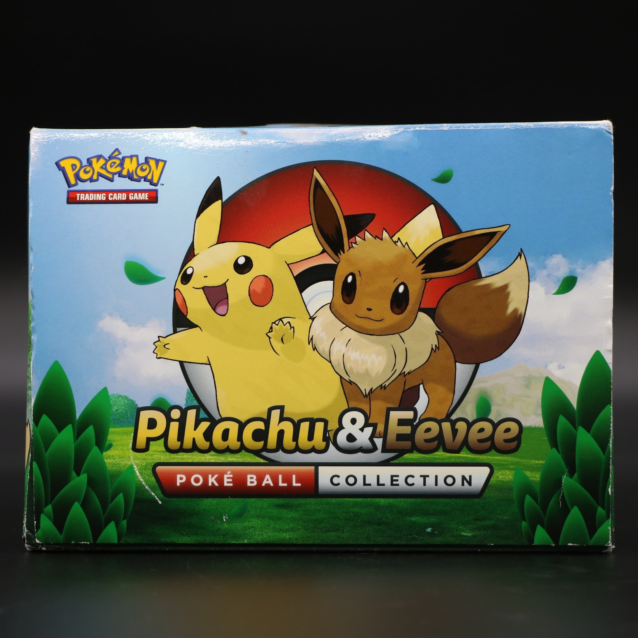 Pokémon Pikachu & Eevee Poké Ball Collection Rare Inc Figure Ball